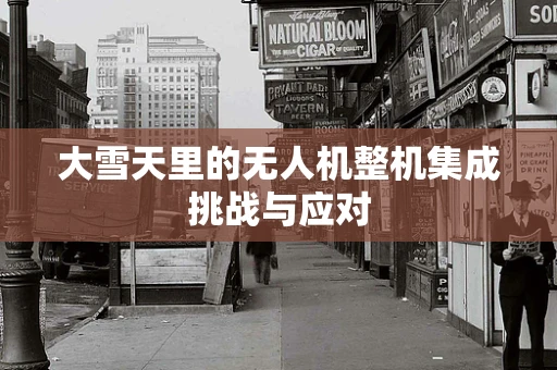 大雪天里的无人机整机集成挑战与应对
