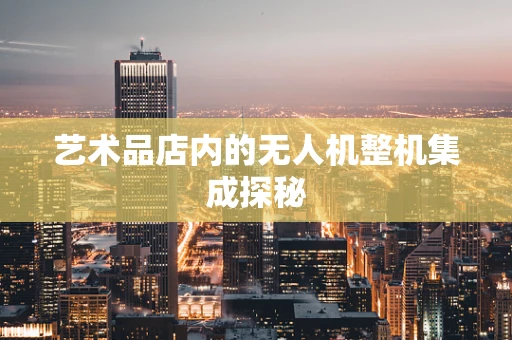 艺术品店内的无人机整机集成探秘