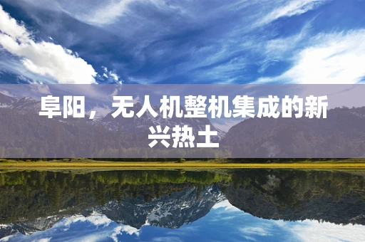 阜阳，无人机整机集成的新兴热土
