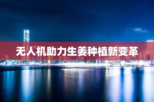 无人机助力生姜种植新变革