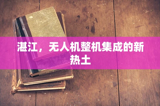 湛江，无人机整机集成的新热土