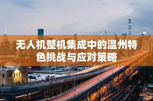 无人机整机集成中的温州特色挑战与应对策略