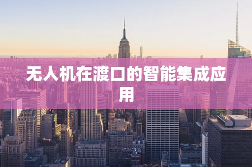 无人机在渡口的智能集成应用