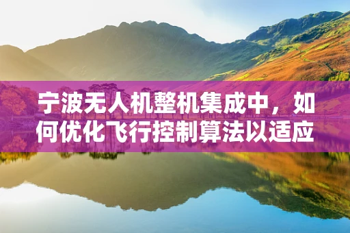 宁波无人机整机集成中，如何优化飞行控制算法以适应复杂地形？