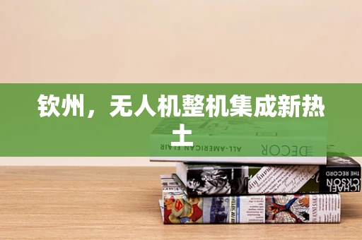 钦州，无人机整机集成新热土