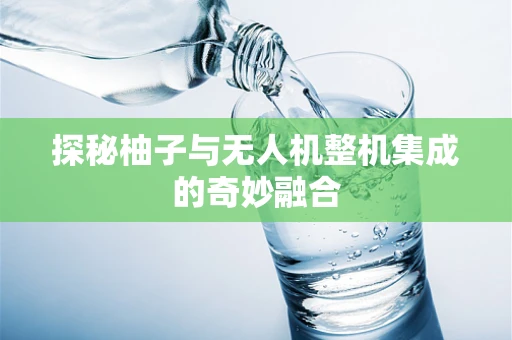 探秘柚子与无人机整机集成的奇妙融合