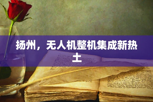 扬州，无人机整机集成新热土