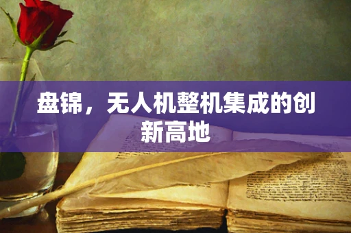盘锦，无人机整机集成的创新高地
