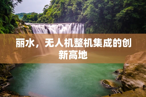 丽水，无人机整机集成的创新高地