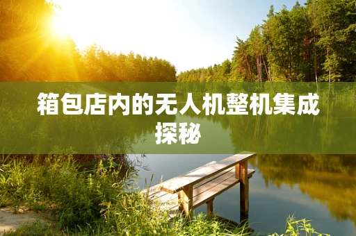 箱包店内的无人机整机集成探秘