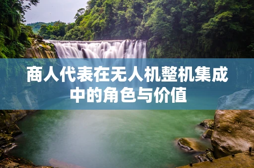 商人代表在无人机整机集成中的角色与价值