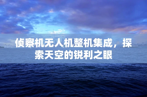 侦察机无人机整机集成，探索天空的锐利之眼