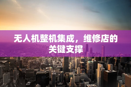 无人机整机集成，维修店的关键支撑