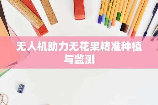 无人机助力无花果精准种植与监测