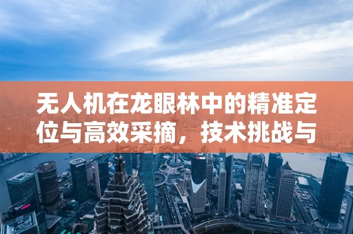 无人机在龙眼林中的精准定位与高效采摘，技术挑战与解决方案