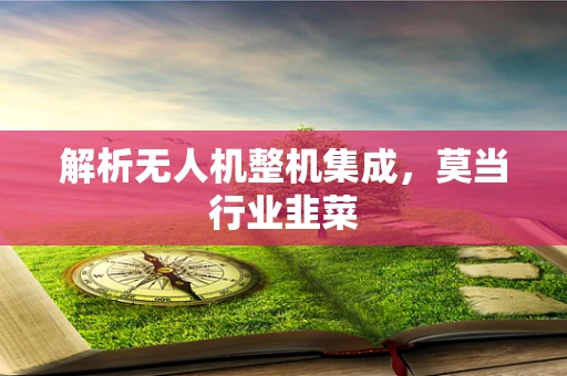 解析无人机整机集成，莫当行业韭菜