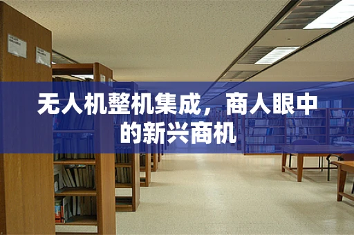 无人机整机集成，商人眼中的新兴商机