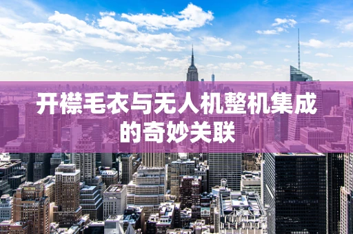 开襟毛衣与无人机整机集成的奇妙关联