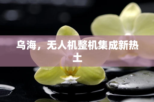 乌海，无人机整机集成新热土