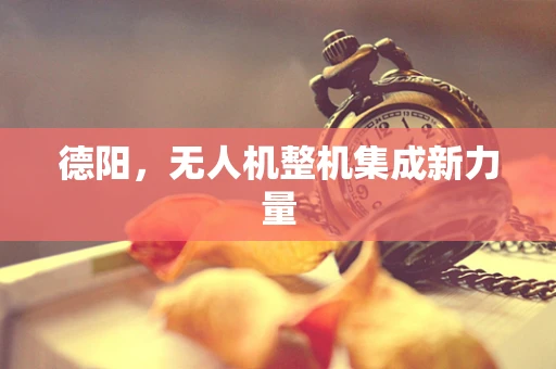 德阳，无人机整机集成新力量