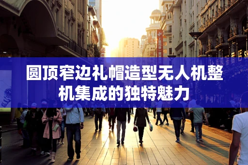 圆顶窄边礼帽造型无人机整机集成的独特魅力