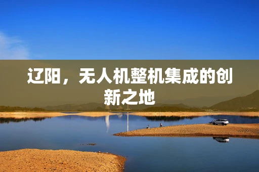 辽阳，无人机整机集成的创新之地