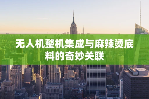 无人机整机集成与麻辣烫底料的奇妙关联