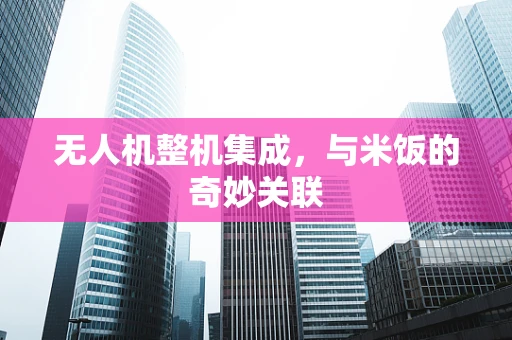 无人机整机集成，与米饭的奇妙关联