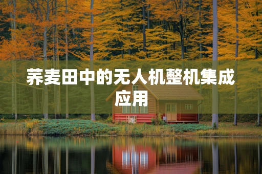 荞麦田中的无人机整机集成应用
