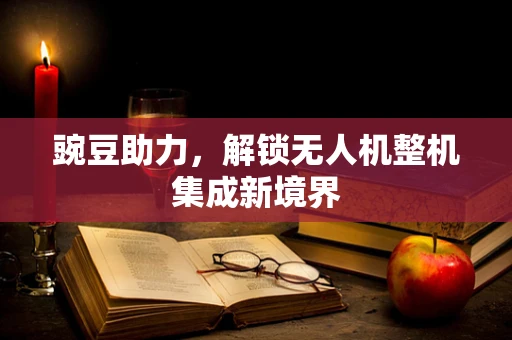 豌豆助力，解锁无人机整机集成新境界