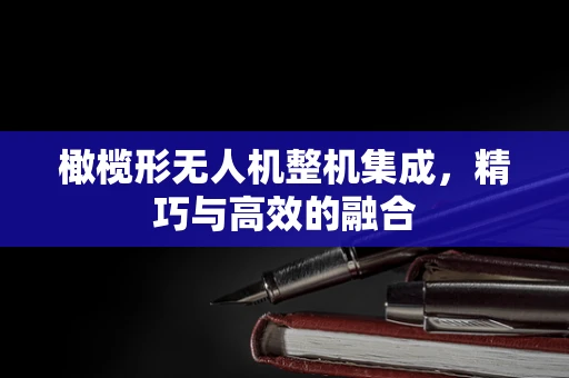 橄榄形无人机整机集成，精巧与高效的融合
