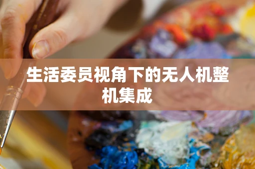 生活委员视角下的无人机整机集成