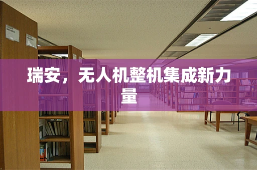 瑞安，无人机整机集成新力量