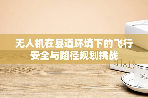 无人机在县道环境下的飞行安全与路径规划挑战