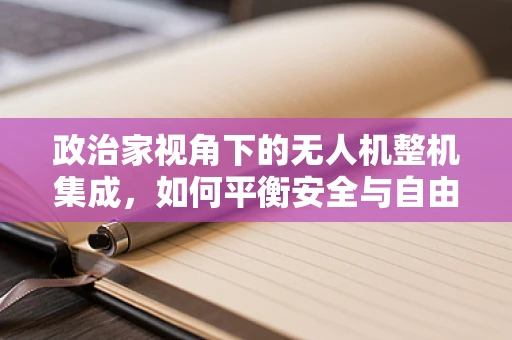 政治家视角下的无人机整机集成，如何平衡安全与自由？