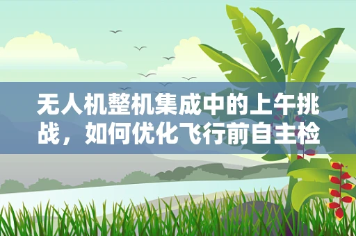 无人机整机集成中的上午挑战，如何优化飞行前自主检测流程？