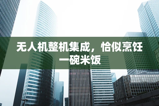 无人机整机集成，恰似烹饪一碗米饭