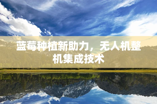 蓝莓种植新助力，无人机整机集成技术