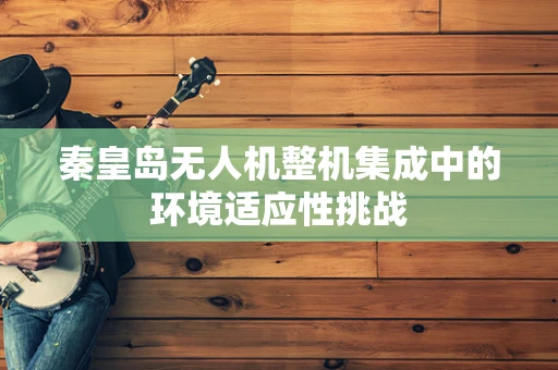 秦皇岛无人机整机集成中的环境适应性挑战