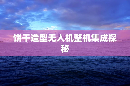 饼干造型无人机整机集成探秘
