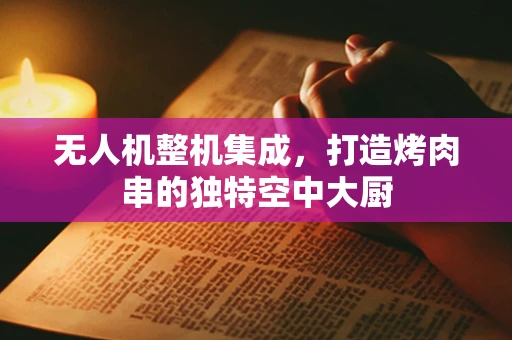 无人机整机集成，打造烤肉串的独特空中大厨