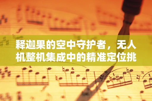 释迦果的空中守护者，无人机整机集成中的精准定位挑战