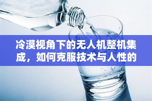 冷漠视角下的无人机整机集成，如何克服技术与人性的隔阂？