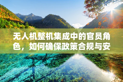 无人机整机集成中的官员角色，如何确保政策合规与安全飞行？