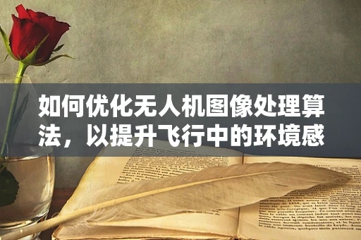 如何优化无人机图像处理算法，以提升飞行中的环境感知能力？