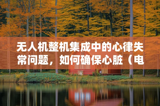 无人机整机集成中的心律失常问题，如何确保心脏（电机）的稳定跳动？
